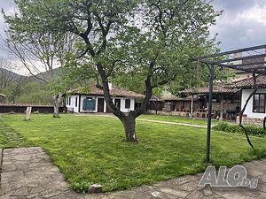 image_3