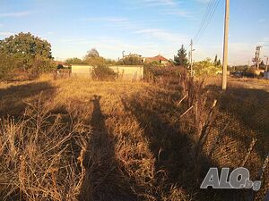 image_7