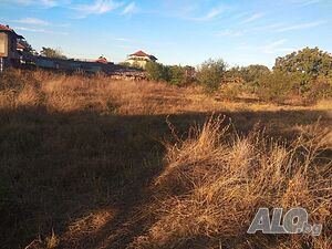 image_9
