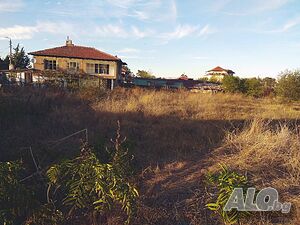 image_11