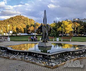 image_5