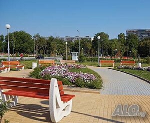image_6