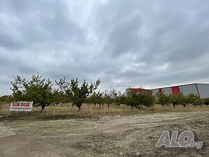 image_6