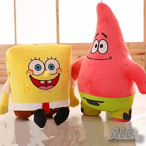 image_6