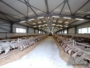 image_8