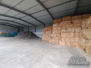 image_11