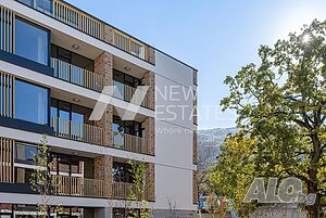 image_12