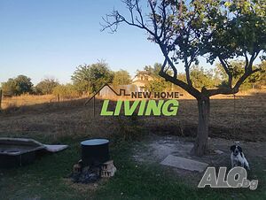 image_7