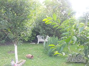 image_11