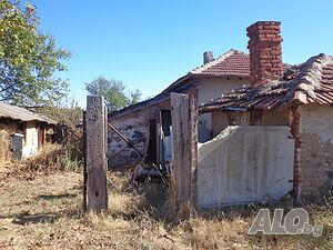 image_15