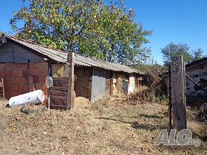 image_13