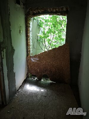 image_6