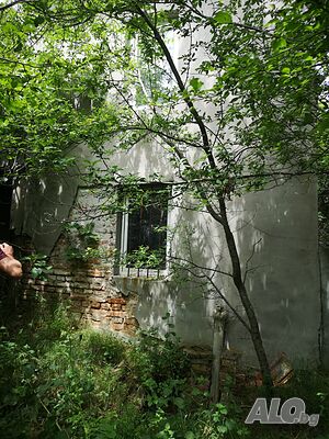 image_9
