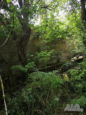 image_10