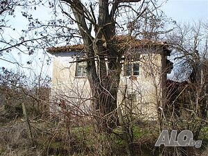 image_15