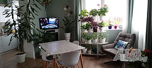 image_13
