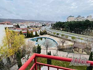 image_11