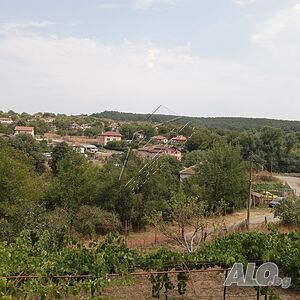 image_15