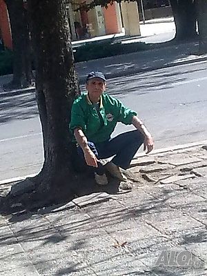 Почистване на помещения/ОФИСИ, мази, тавани, сутерени/! Хамалски услуги!