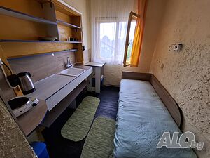 стая без хазаи Орландовци