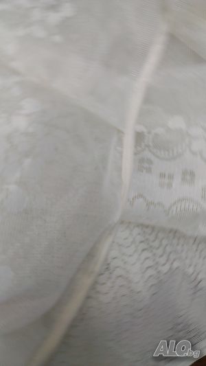 image_11