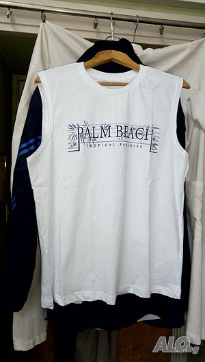 image_8