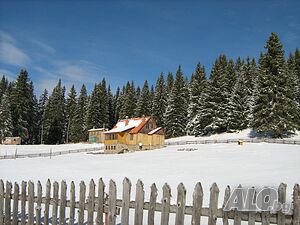 image_22
