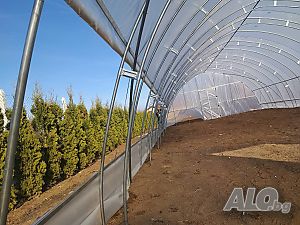 image_11