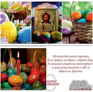 image_3