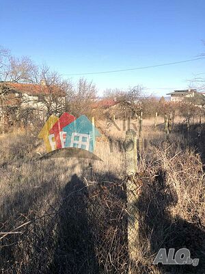 image_6