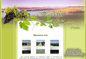 Продавам винено и десертно грозде