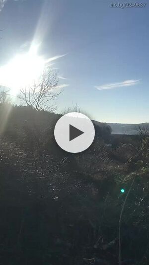 image_8