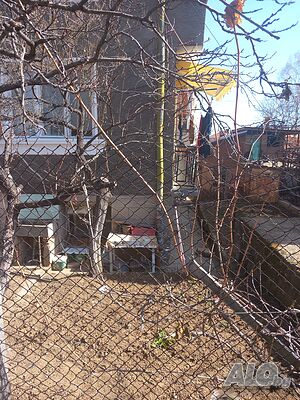 image_10