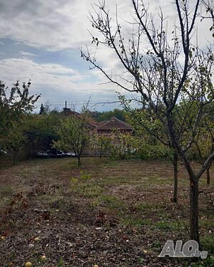 Продава парцел 969 кв.м. със стара къща 50 кв.м. в село Шипочано.