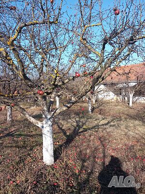 image_8