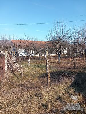 image_12