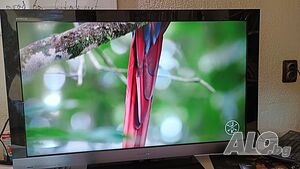 image_8