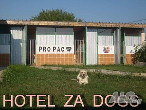 Хотел за кучета
