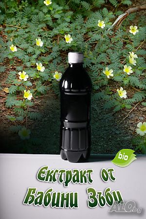 Екстракт от ”Бабини Зъби” (Tribulus Terrestris) 1л (за Есенно-Зимно-Пролетно подхранване пчели)