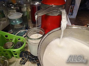 СЕПАРАТОР за получаване на сметана от сурово мляко. Нов. 100л/час