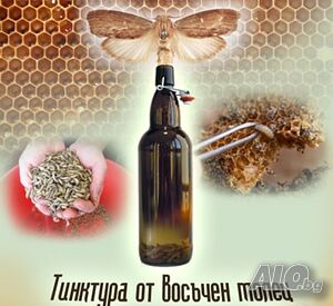 Тинктура от восъчен молец / Екстракт от ларви от восъчен молец / Екстракт личинок восковой моли 1л