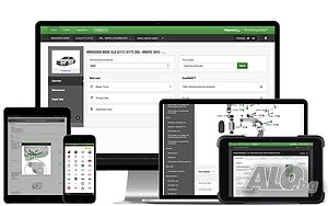 Haynes Pro online