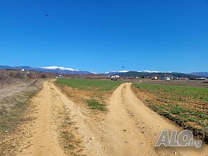image_11