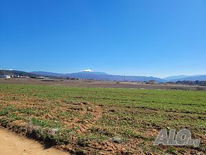 image_12