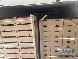 image_5