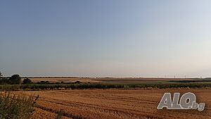 image_7