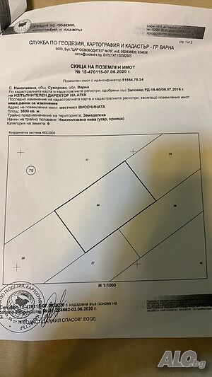 image_5