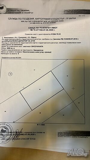 image_6