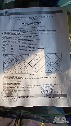 image_3