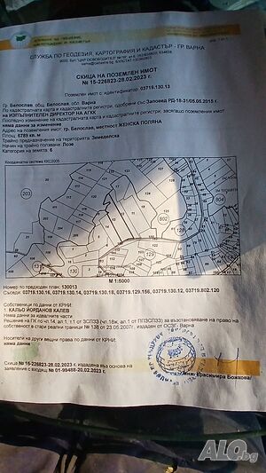 image_4